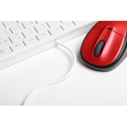 Mouse & Tastaturi